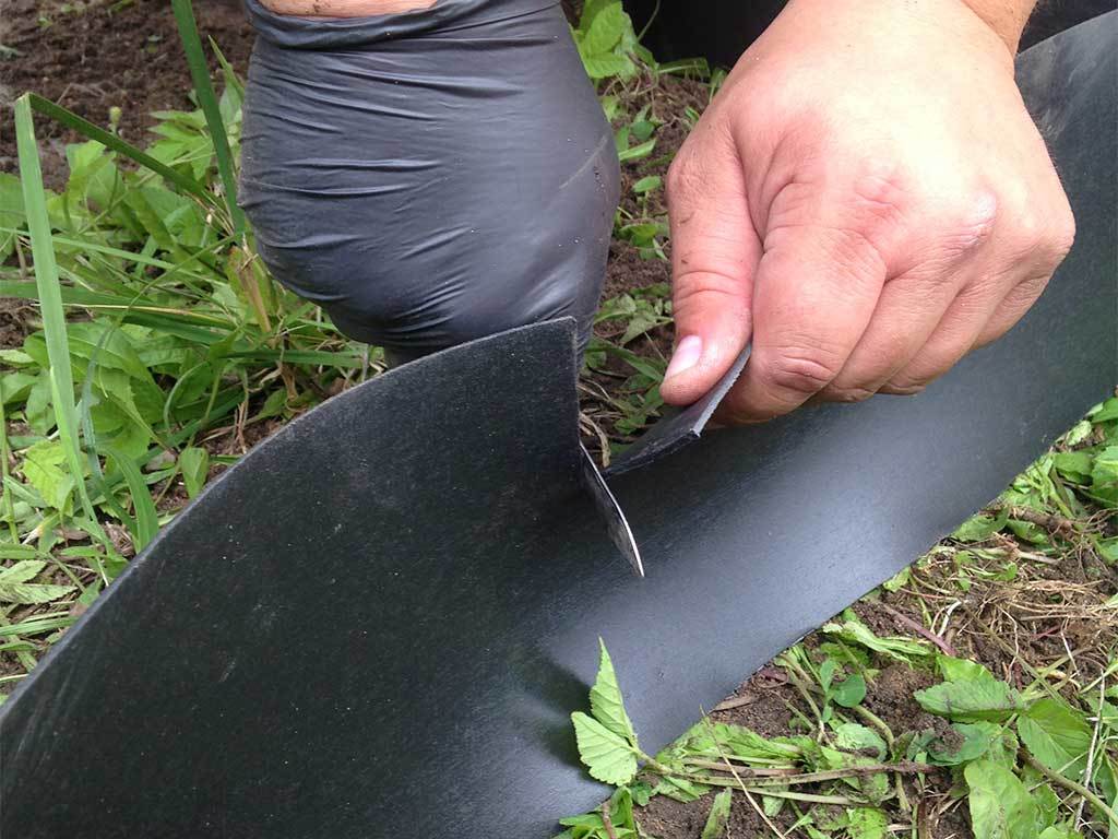 Лента бордюрная 250 мм x 10 м, 2 мм ГеоПластБорд GPBST-29 - Вид №6