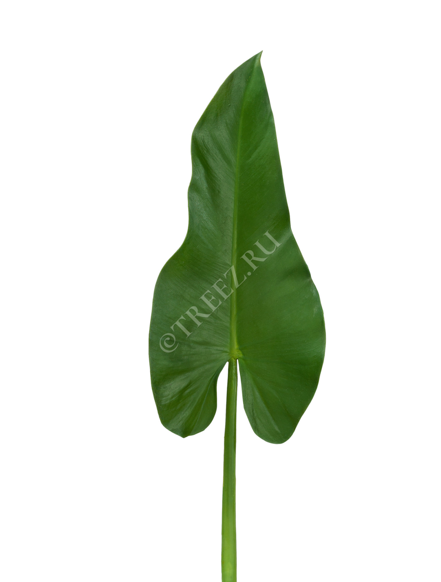 30.0611063 Лист Каллы Цветочная коллекция 