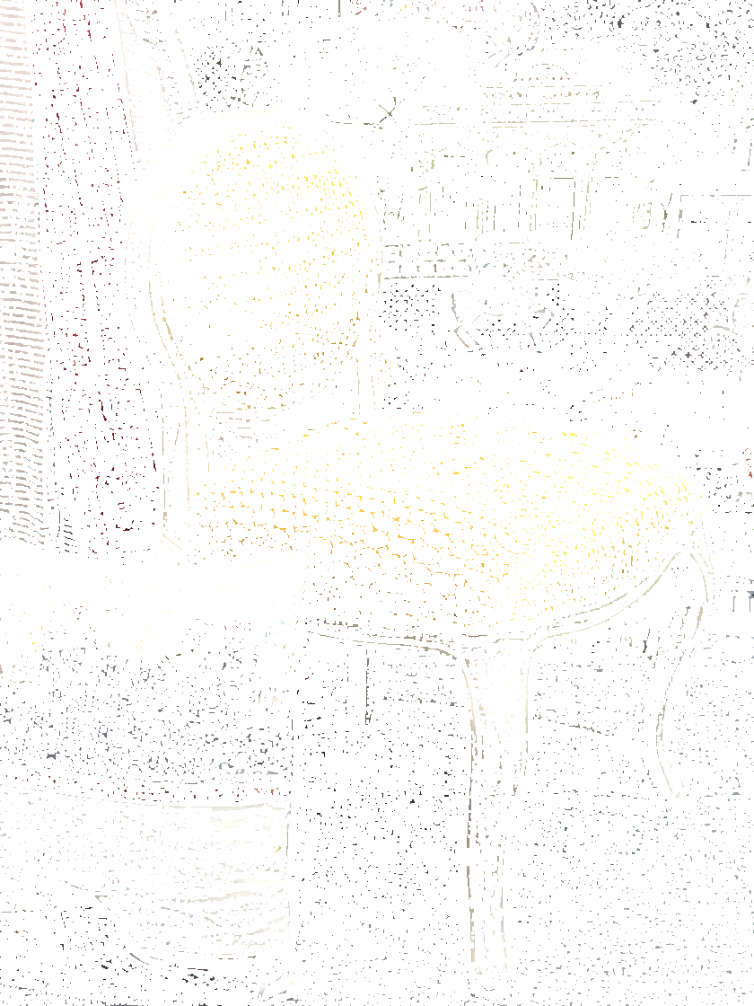 Equipo DRT Жаккардовая бархатная ткань с графическими мотивами Duncan sun-id-1442300 - Вид №8