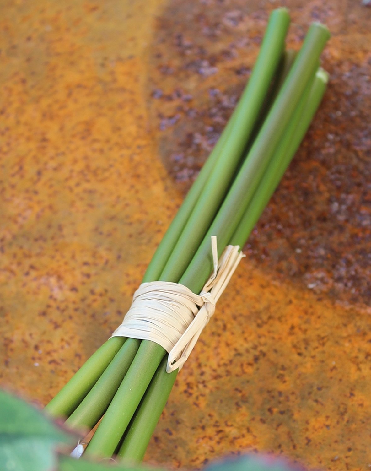 2607 753 a3 Искусственный букет роз, 7-цветков, 28 см, бежево-абрикосовый H-andreas 