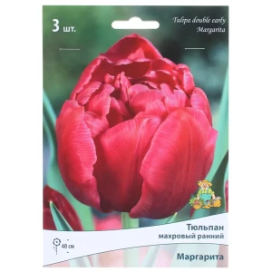 Тюльпан махровый поздний «Маргарита», высота 40 см, 3 шт. 82000225 STLM-2025216