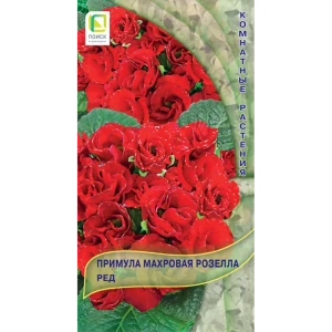 Семена Примула махровая «Розелла Ред» 82984203 STLM-2161858