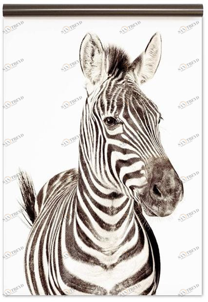 Groovy Magnets Магнитные обои Animal sun-id-1399879