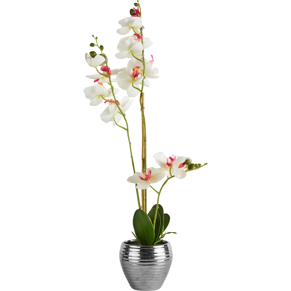 85881693 Искусственное растение Орхидеи h62 см ткань белый STLM-0960028 Santreyd 