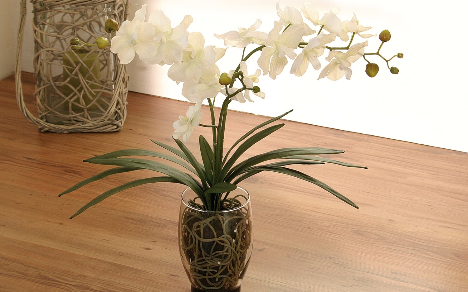 2589 778 a3 Имитация орхидеи ванда в стеклянном горшке, 53 см, бежево-белая H-andreas 