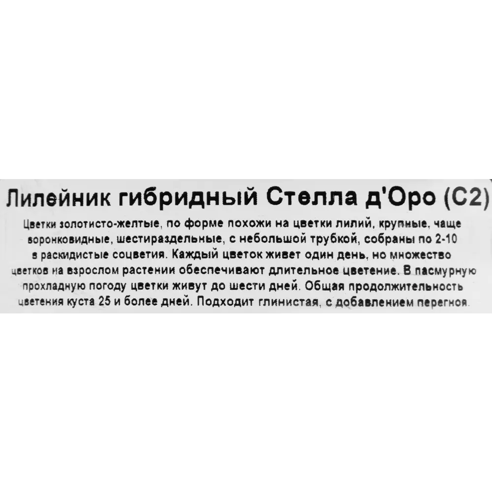 Santreyd Лилейник «Стелла Д Оро» - солнечное украшение сада 82219559 STLM-1445015 - Вид №1