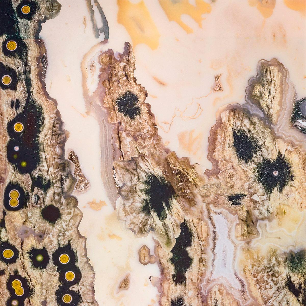 SICIS Elephant Cacao Vetrite sun-id-1991182 - Вид №2