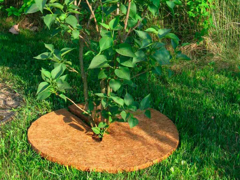 Круг приствольный Мульчаграм 90 см, комплект - 5шт ГеоПластБорд GPBST-246 - Вид №6