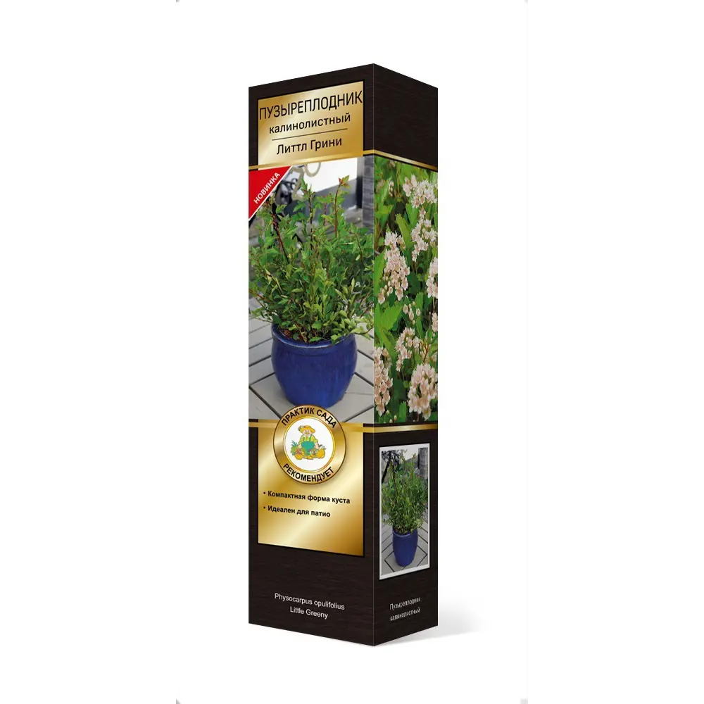 Пузыреплодник калинолистный Литтл грини ø6 h37 см 83786889 STLM-2027761 Santreyd 