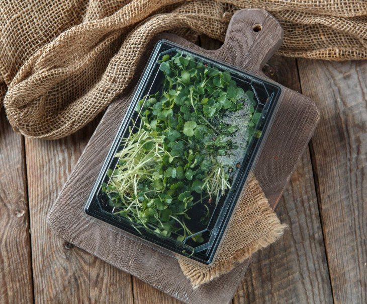 4295 Микрозелень Дайкона Вкусляндия  - Вид №1