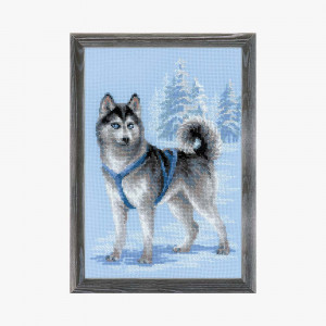 1626 Набор для вышивания Хаски 26 х 38 см RIOLIS Сотвори Сама