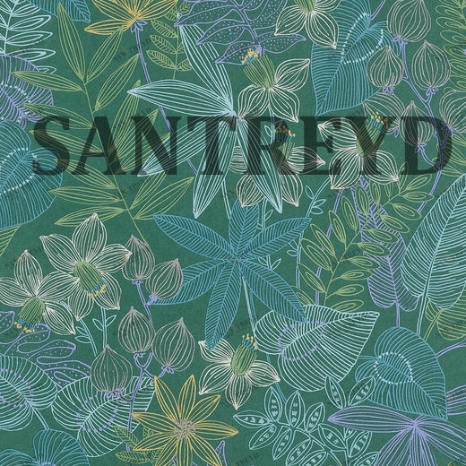 36630-2 Обои A.S. Creation Colibri 366302