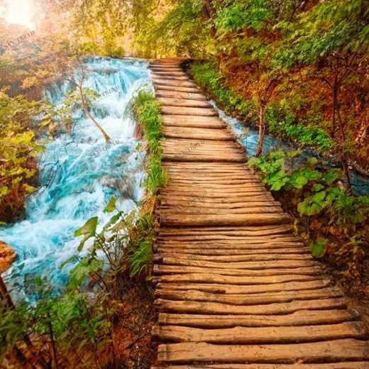 WP01559 Фотообои Verol Фотообои decoline 1х1 м