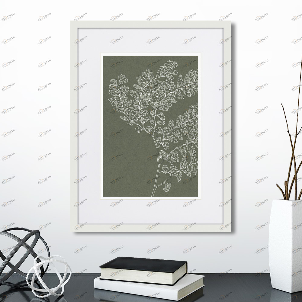 Картина 42х32 см The Fern Collection №15 КАРТИНЫ В КВАРТИРУ  00-3894681 Серый 
