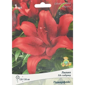 Лилия ЛА-гибрид Покерфейс 1 шт. 83588523 STLM-2168322