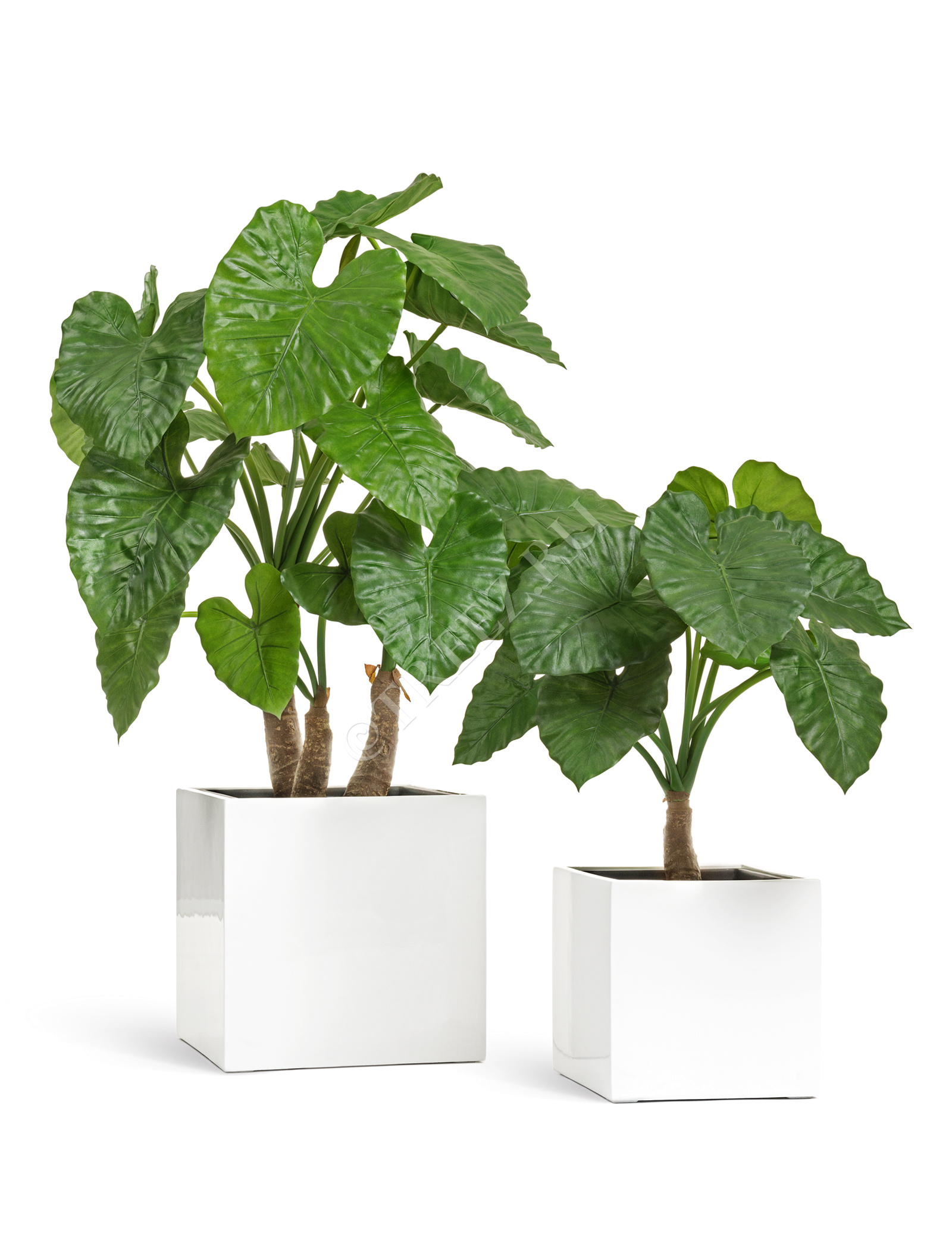 41.3320-05-033-WH-50 Кашпо  Effectory - серия Gloss - Куб - Белый глянцевый лак Цветочная коллекция  - Вид №5