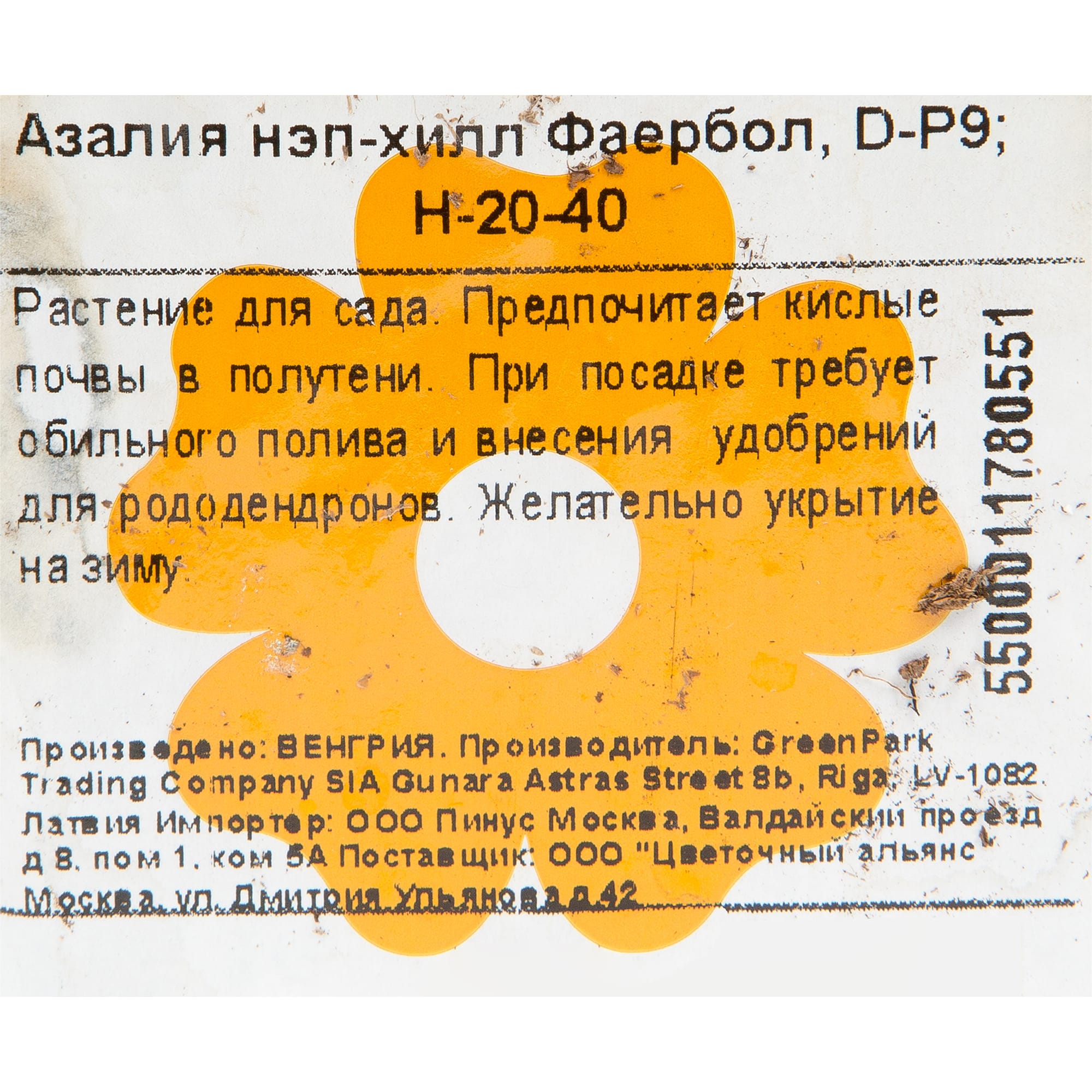 82176113 Азалия нэп-хилл «Фаербол» P9 Santreyd  - Вид №1