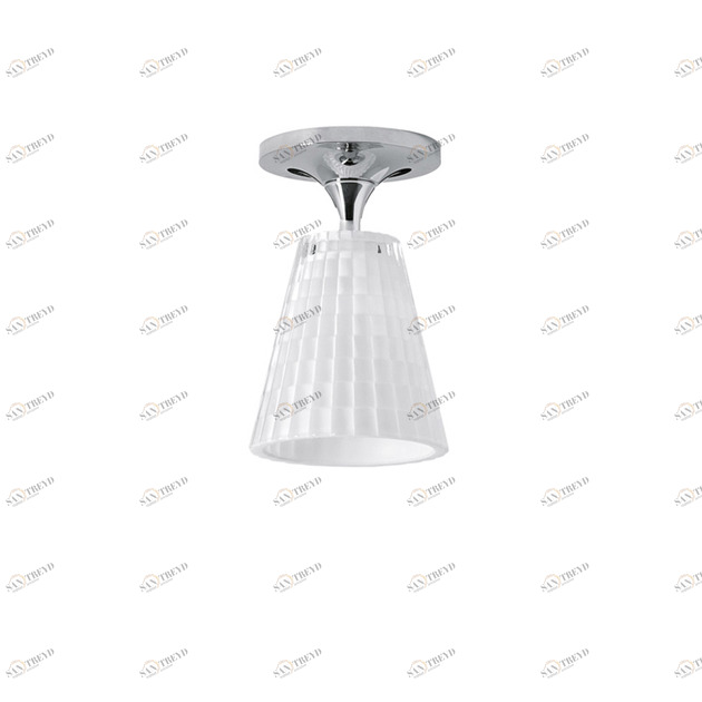 Потолочный светильник D87E0101 от Fabbian FABBIAN ДИЗАЙНЕРСКИЕ 244012 Белый 