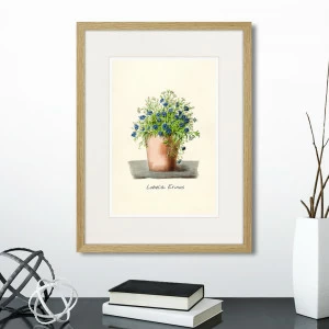 Картина в раме 32х42 см Botany illustration №9, 1836г. КАРТИНЫ В КВАРТИРУ  264501 Бежевый;зеленый;разноцветный