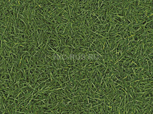 Линолеум бытовой SMART NEO - СМАРТ НЕО i457840