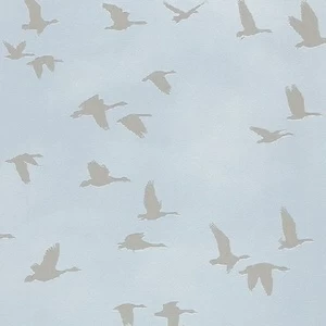 503357 Обои Rasch Kids & Teens II