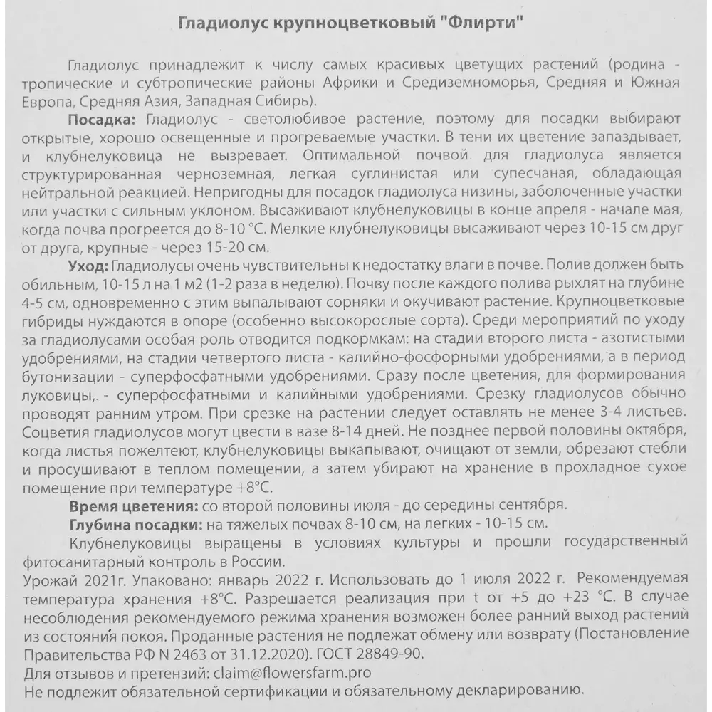Гладиолус крупноцветковый Флирти 7 шт. 83628490 STLM-2120653 BLOOMING LIFE  - Вид №3