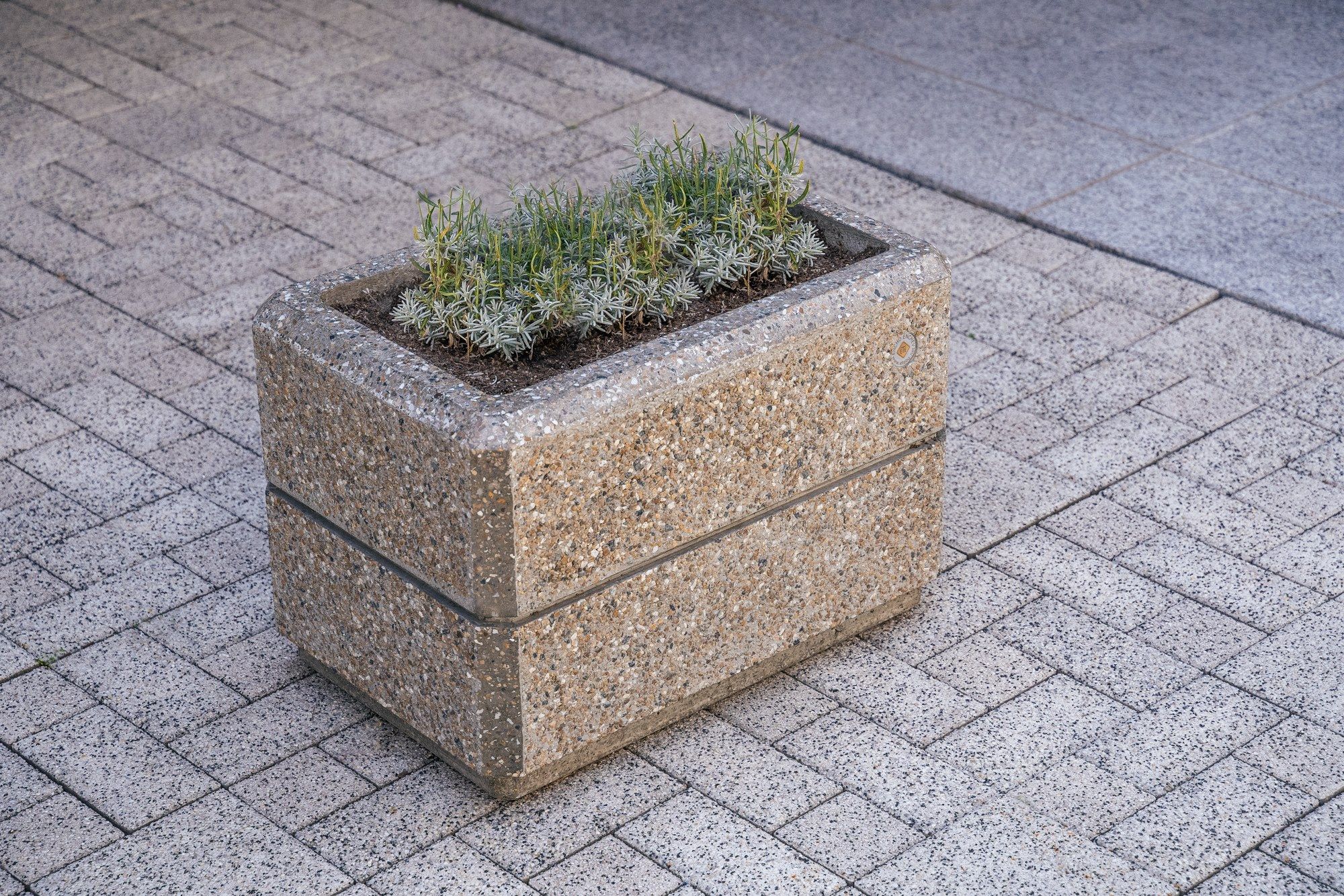 Бетонная плантатор ENCHO ENCHEV - ETE 174/175 ARCH-00142862 - Вид №4