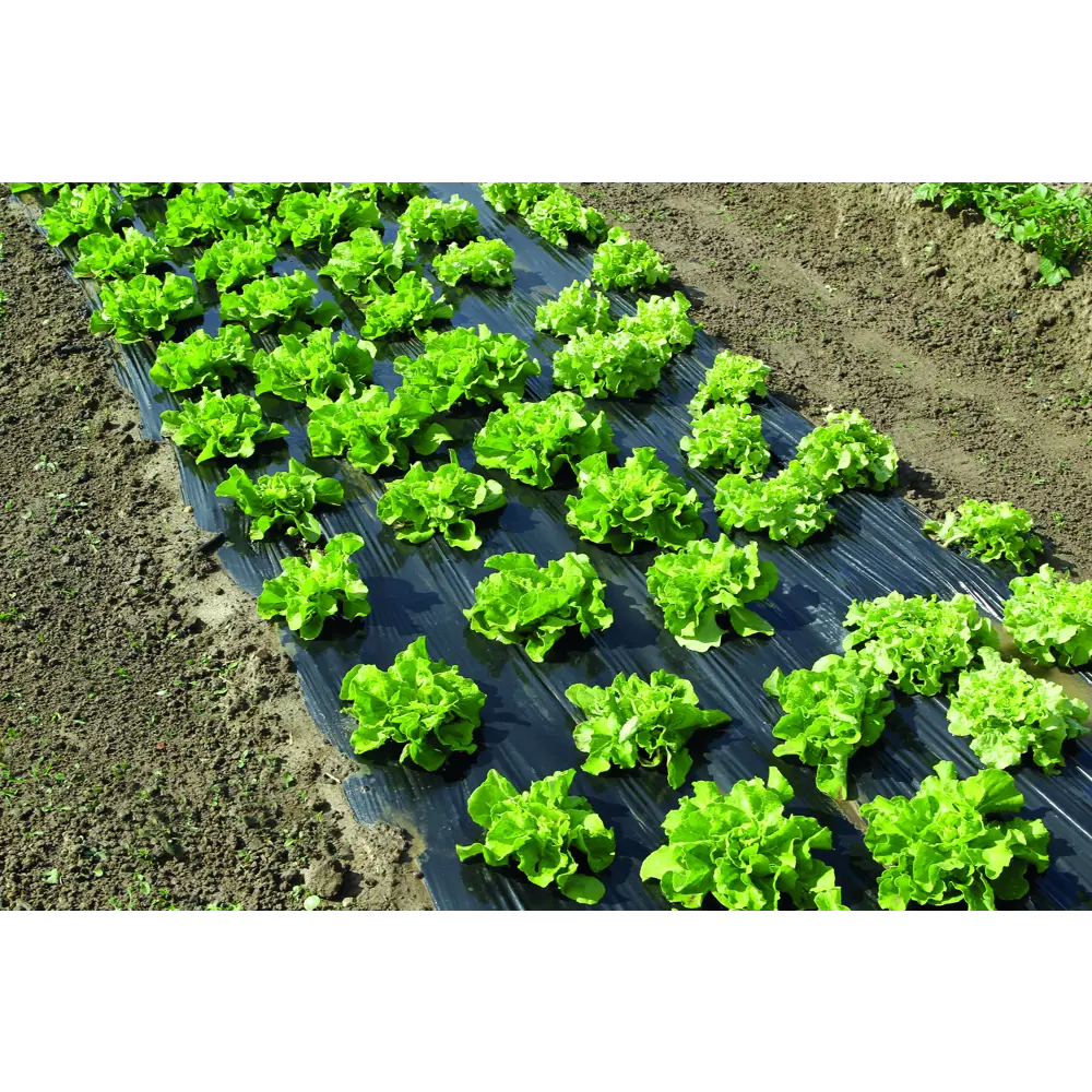 Пленка п/э Geolia д/мульчир 60мкм 1.4x5м STLM-2095083 - Вид №3