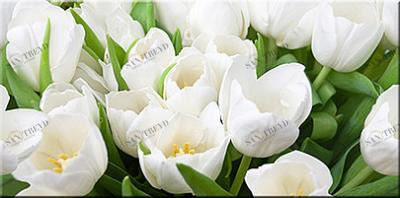 ЭЛАРА ВЕРДЕ триумф Декор 40,5*20,1 13шт Azori 583962001