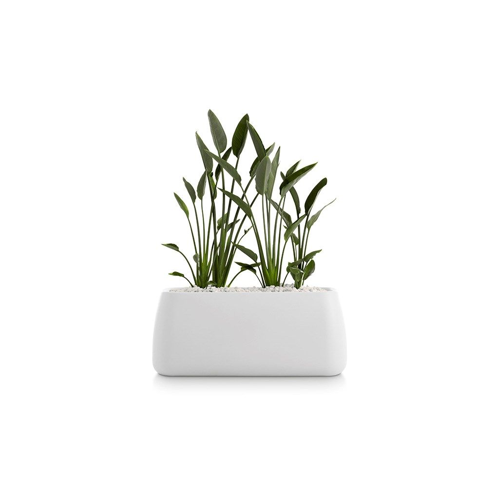 Прямоугольная плантатор Diabla ARCH-00112385 - Вид №5