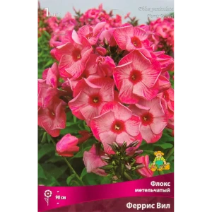 Флокс метельчатый Феррис вил луковица I 88294976 STLM-2063484