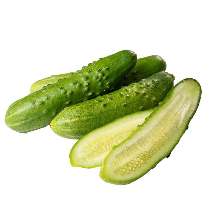 Огурцы длинноплодные ТСХ Santreyd 1920