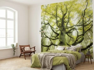 Komar Флизелиновые обои с пейзажами Wanderlust Shx6-020