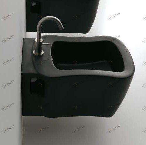 42817 Биде подвесное Nutty AXA ONE Santreyd