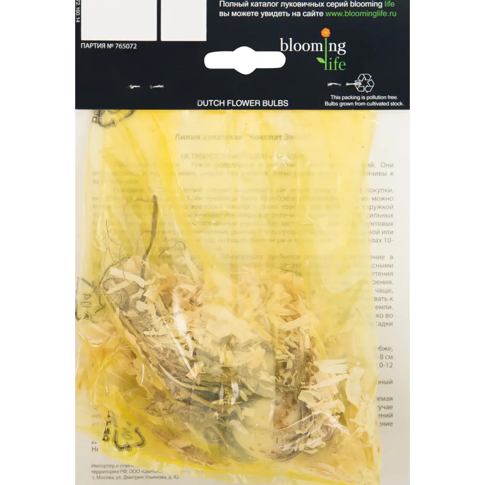 Лилия азиатская «Чоколат Эвент» 82539368 STLM-2056865 BLOOMING LIFE  - Вид №1