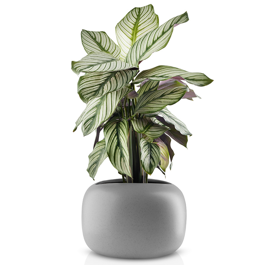 568171 Горшок для растений stone, D19 см Eva Solo  - Вид №4