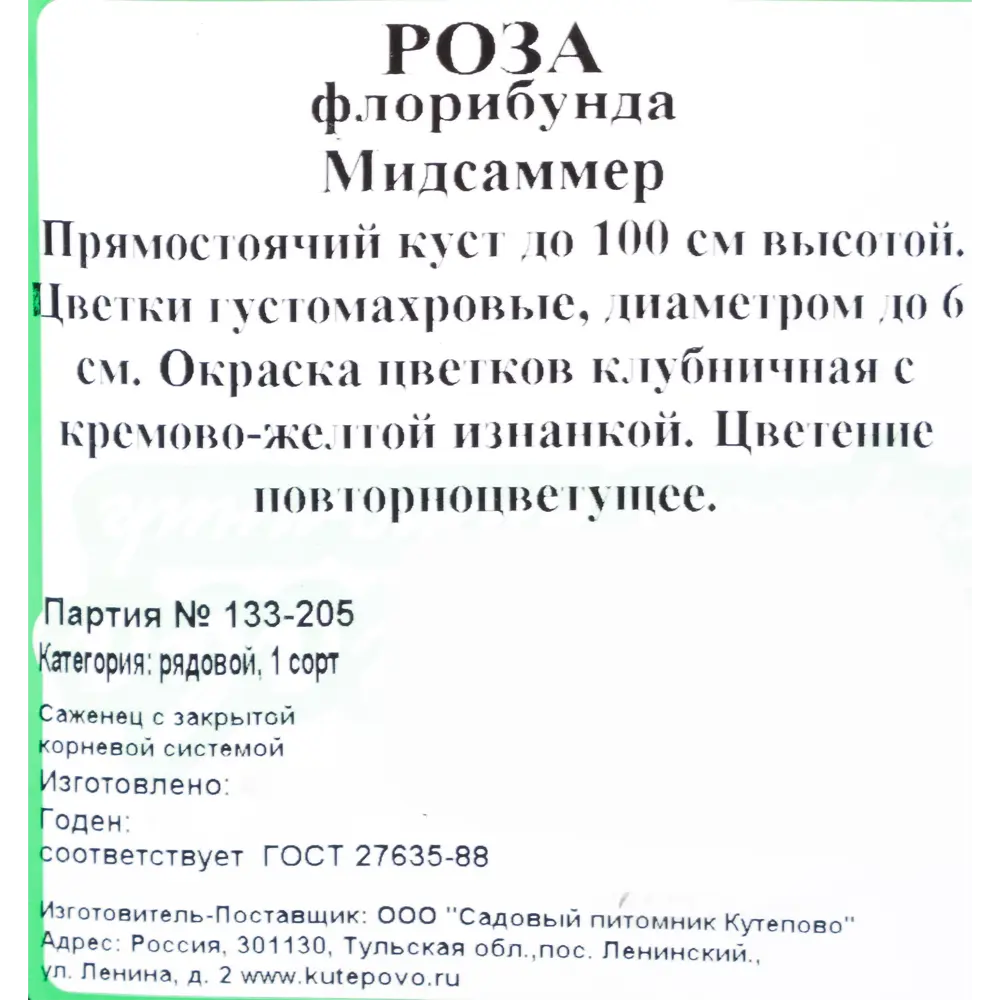 Роза флорибунда «Мидсаммер» С4 82237672 STLM-2119217 Santreyd 
