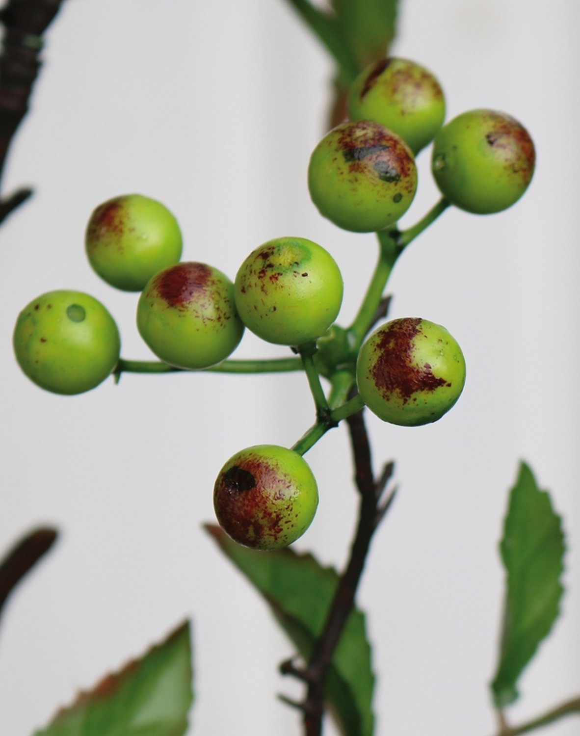 1552 883 a3 Спрей шелк ягодный, 106 см, зеленый H-andreas  - Вид №1