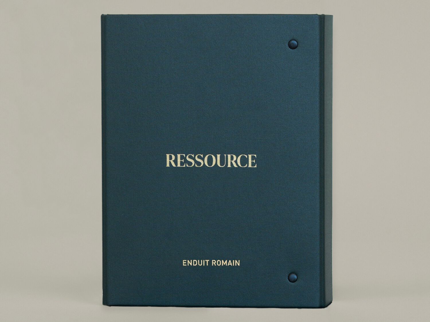 Декоративная живопись на основе Римской штукатурки Ressource Plasters ARCH-00019656