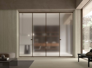 Стеклянная книжная дверь