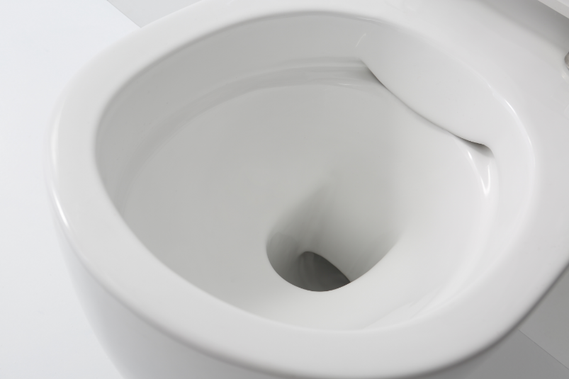 NC4477(NC2039) Подвесной унитаз SSWW NC - Вид №4