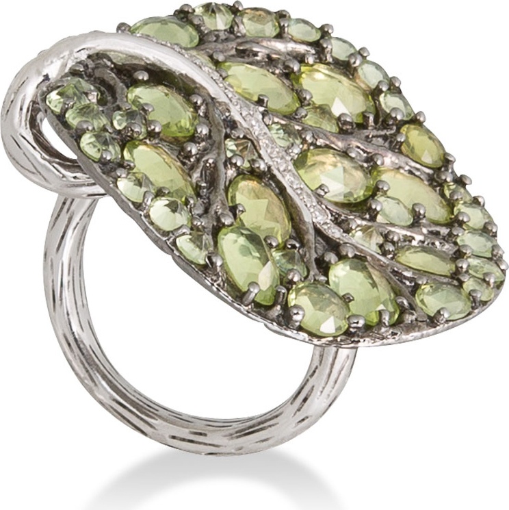 10592494 Кольцо для cалфетки Серебряное Michael Aram 