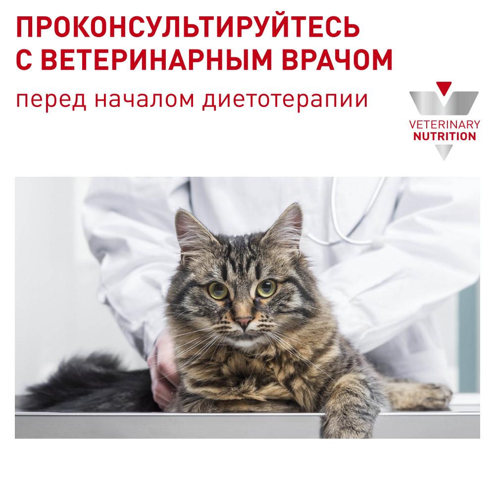 ПР0018775 Корм для кошек Vet Senior Consult Stage 1 старше 7 лет 1-я стадия старения, птица сух. 400г ROYAL CANIN  - Вид №6