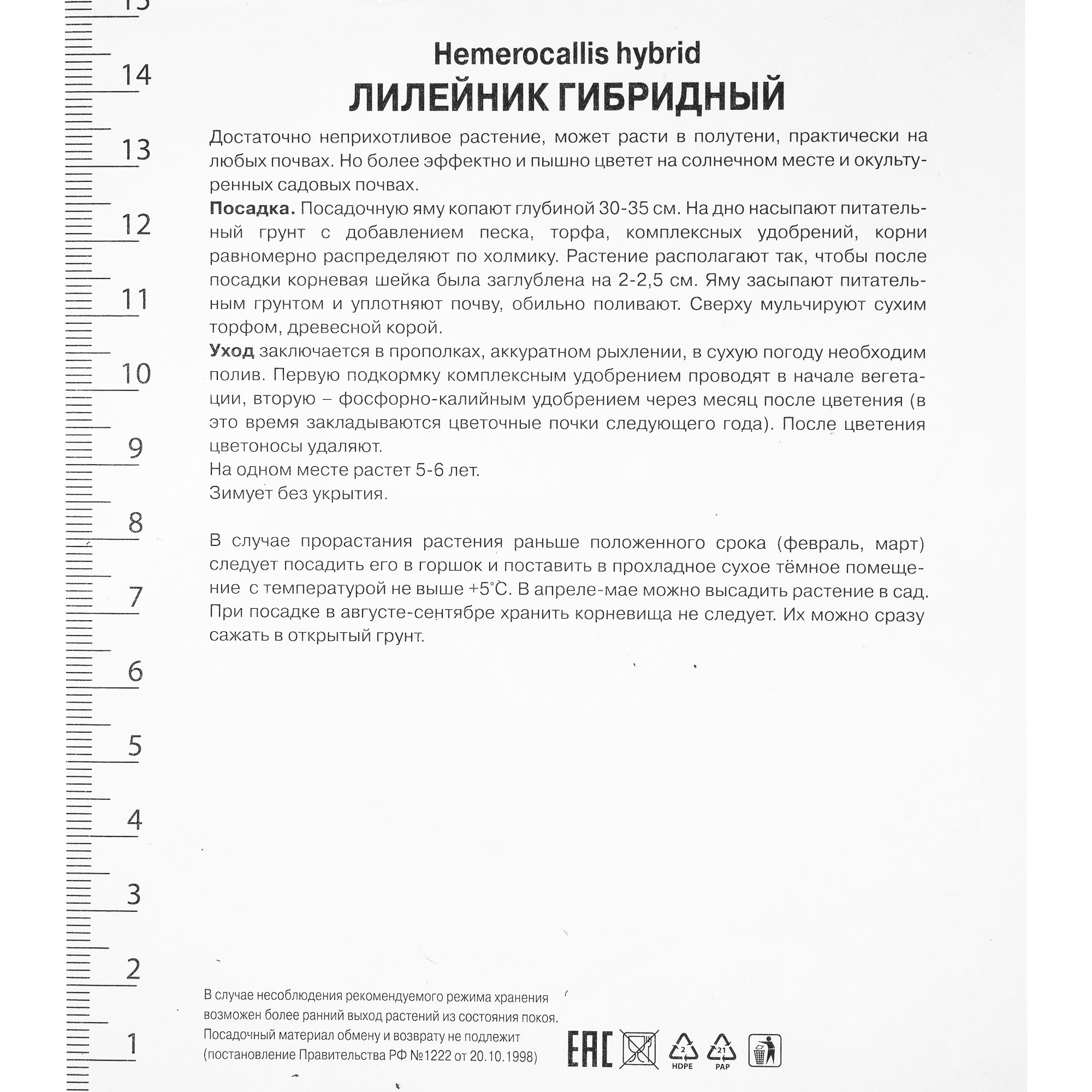 82118725 Лилейник гибридный «Хевенли Флайт Ов Энджел», 1 шт Santreyd  - Вид №1