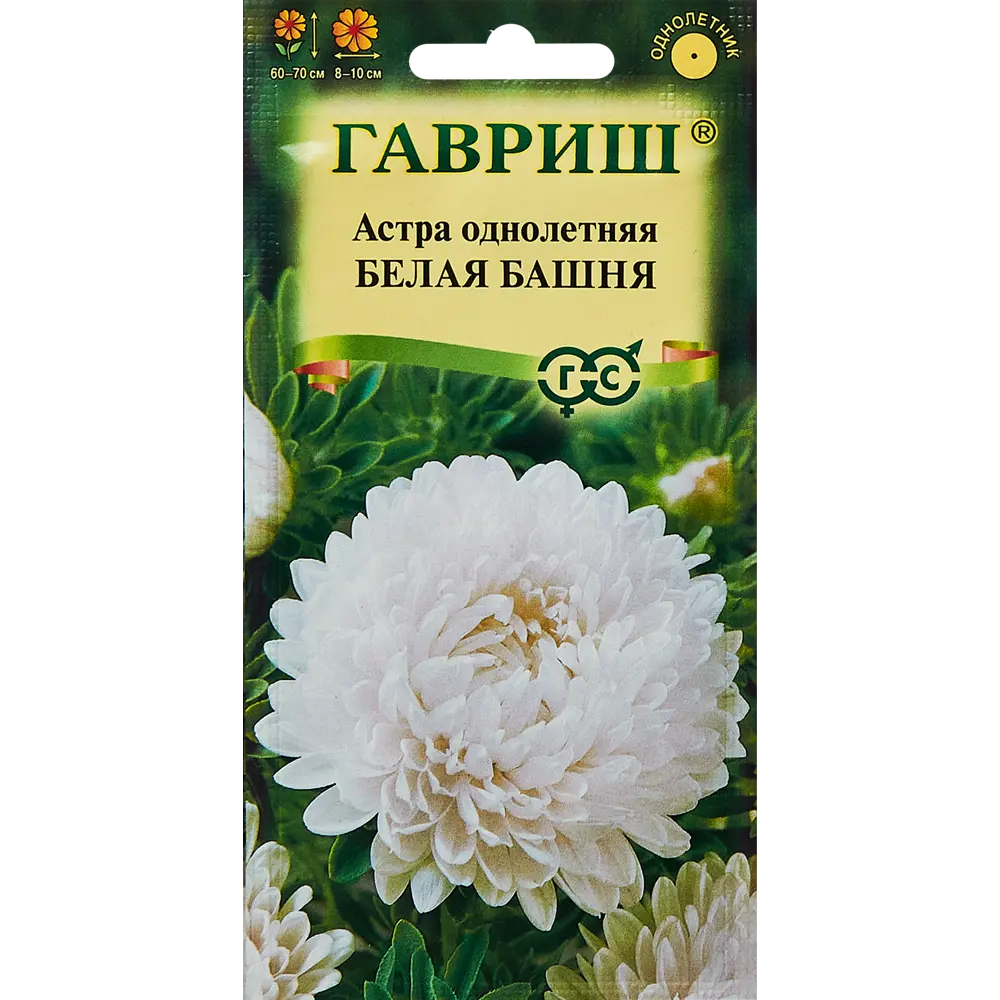 Santreyd Астра Белая Башня - пионовидные соцветия для сада 89344836 STLM-0951222