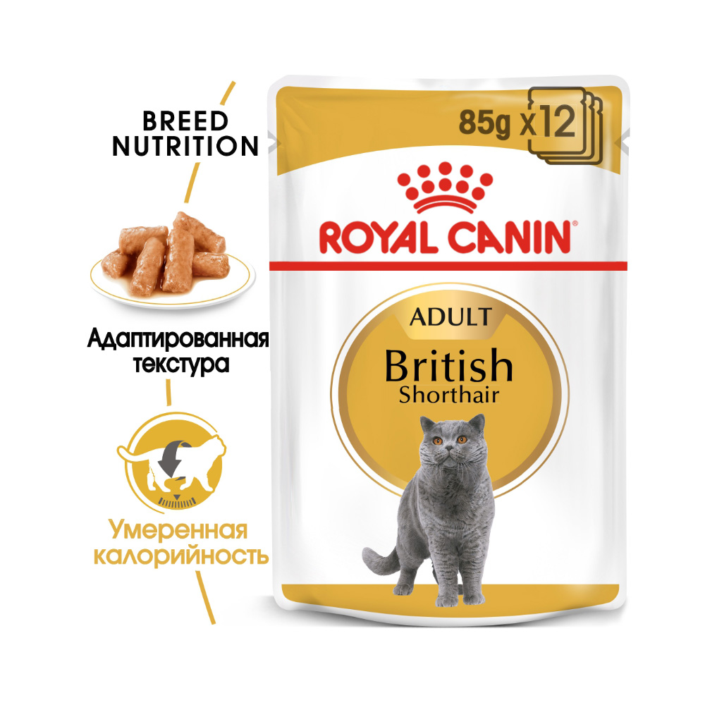 ПР0033082 Корм для кошек для британской короткошерстной, в соус конс. ROYAL CANIN  - Вид №1