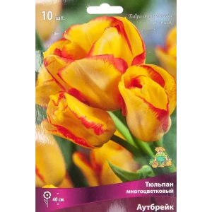 Тюльпан многоцветковый Аутбрейк, 10 шт 85205556 STLM-2143101