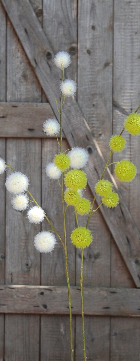 5535 778 a3 Искусственный спрей из плодов гомфокарпуса, 103 см, бежево-белый H-andreas 