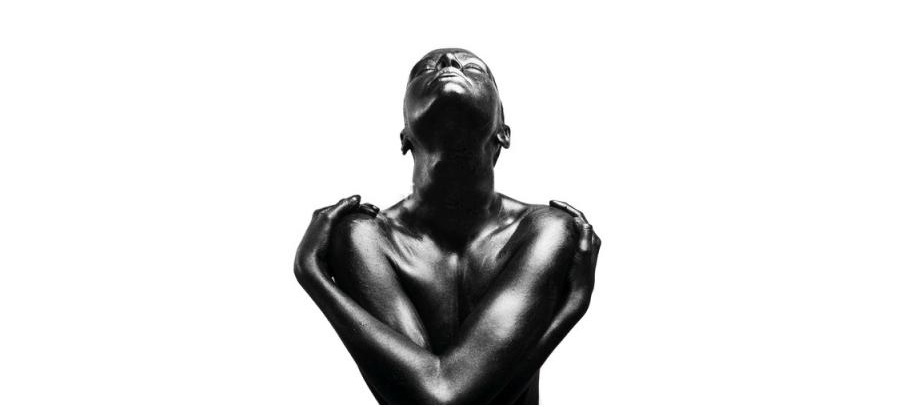 062968 Фотография 100x100 Schuller Ebano  - Вид №1