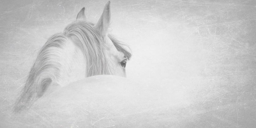 Creativespace Моющиеся обои Walldresses 2017 sun-id-1392505 - Вид №1